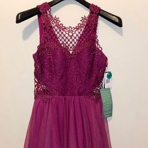 Absolutely Beautiful